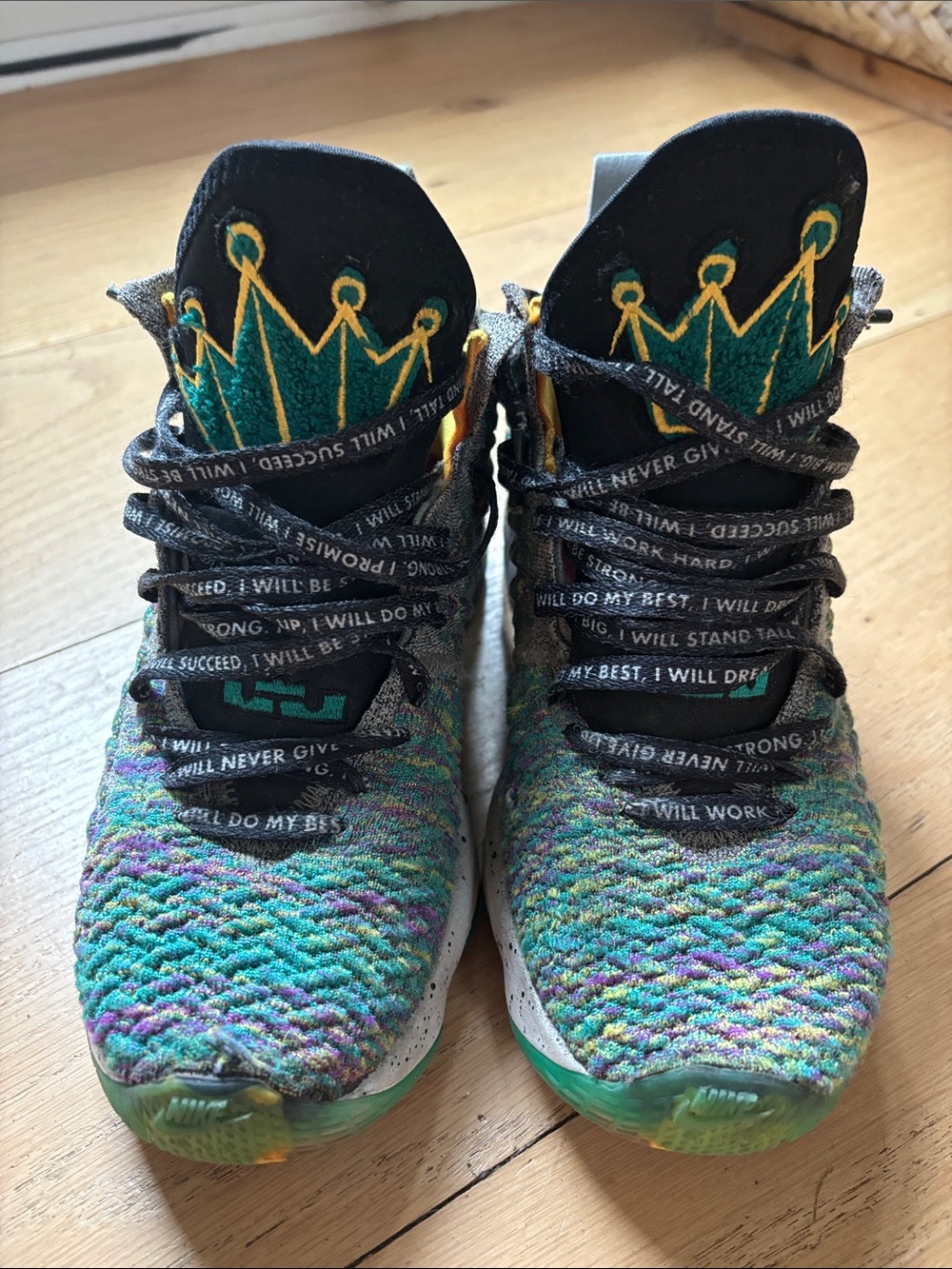 Nike LeBron 17 I Promise Multicolor Basketball Shoes Youth 4Y CW2761-300